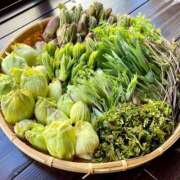 ヒメ日記 2026/04/13 12:17 投稿 阿野彩未(あやみ) 東京不倫 渋谷店