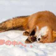 ヒメ日記 2025/03/09 00:27 投稿 佐久間ゆな 東京不倫 渋谷店