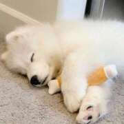 ヒメ日記 2025/04/14 00:37 投稿 佐久間ゆな 東京不倫 渋谷店