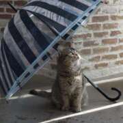 ヒメ日記 2025/06/09 12:47 投稿 佐久間ゆな 東京不倫 渋谷店