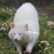 ヒメ日記 2025/10/08 00:37 投稿 佐久間ゆな 東京不倫 渋谷店