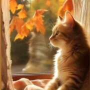 ヒメ日記 2025/11/10 12:17 投稿 佐久間ゆな 東京不倫 渋谷店