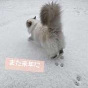 ヒメ日記 2025/12/19 23:57 投稿 佐久間ゆな 東京不倫 渋谷店