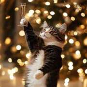 ヒメ日記 2026/01/19 13:07 投稿 佐久間ゆな 東京不倫 渋谷店