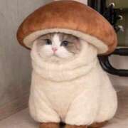 佐久間ゆな こんにちは 東京不倫 渋谷店