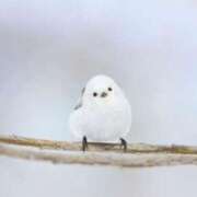 ヒメ日記 2025/02/05 21:47 投稿 一色十和子(とわこ) 東京不倫 渋谷店