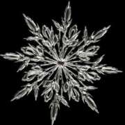 ヒメ日記 2025/03/03 15:07 投稿 一色十和子(とわこ) 東京不倫 渋谷店