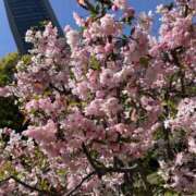 ヒメ日記 2025/04/10 10:40 投稿 かな 上野添い寝女子