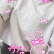 ヒメ日記 2025/05/17 10:40 投稿 かな 上野添い寝女子