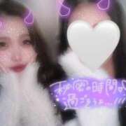 ヒメ日記 2025/11/17 07:13 投稿 こい スーパークリスタル