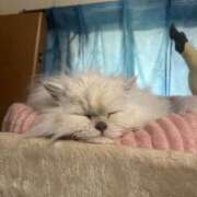 ヒメ日記 2026/02/13 14:26 投稿 まりん XSTASY（エクスタシー）