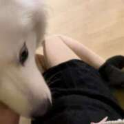 ヒメ日記 2025/02/13 07:31 投稿 ゆき サンキュー町田・相模原店