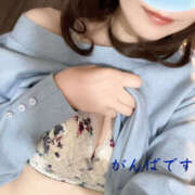 ヒメ日記 2025/04/11 11:40 投稿 しづき 奥鉄オクテツ東京店（デリヘル市場）