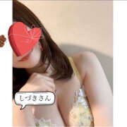 ヒメ日記 2025/06/18 11:56 投稿 しづき 奥鉄オクテツ東京店（デリヘル市場）