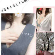 ヒメ日記 2026/04/01 11:22 投稿 しづき 奥鉄オクテツ東京店（デリヘル市場）