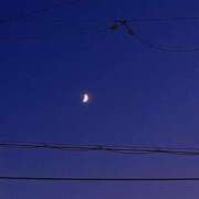 ヒメ日記 2025/03/10 00:54 投稿 ゆり ぽちゃSPA