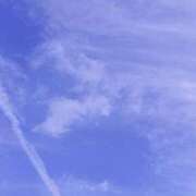 ヒメ日記 2025/03/10 05:00 投稿 ゆり ぽちゃSPA