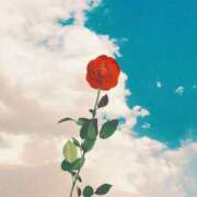 ヒメ日記 2025/06/28 09:30 投稿 ゆり ぽちゃSPA