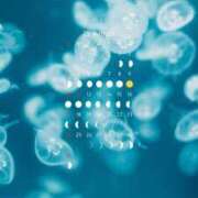 ヒメ日記 2025/08/31 21:58 投稿 ゆり ぽちゃSPA