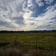 ヒメ日記 2025/11/23 16:27 投稿 ゆり ぽちゃSPA