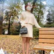 ヒメ日記 2024/12/24 17:00 投稿 なみこ 鶯谷濡れる人妻