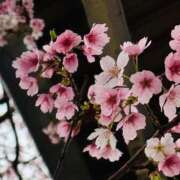 ヒメ日記 2026/03/24 02:00 投稿 かのこ 熟女の風俗最終章 相模原店