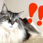 ヒメ日記 2025/09/24 12:10 投稿 かのこ 熟女の風俗最終章 町田店