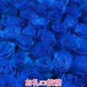 らん　【ロイヤルOP対応】 💌𓂃𓈒𓂂𓏸お礼日記𓂃𓈒𓂂𓏸💌 あなたの全てを包み込む　優しいひとづま