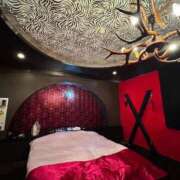 ヒメ日記 2026/07/03 21:08 投稿 アリス女王様 Club-Embassy