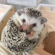 ヒメ日記 2025/01/27 08:23 投稿 ふうか YESグループ TSUBAKI FIRST