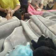 ヒメ日記 2024/12/28 06:16 投稿 HARUKI GRAND STAGE