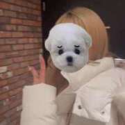 ヒメ日記 2025/01/10 19:26 投稿 HARUKI GRAND STAGE