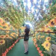 ヒメ日記 2025/08/19 00:04 投稿 HARUKI GRAND STAGE