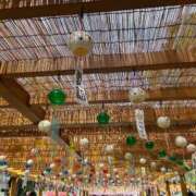 ヒメ日記 2025/08/24 07:34 投稿 HARUKI GRAND STAGE