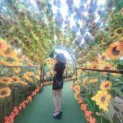 ヒメ日記 2025/09/17 12:05 投稿 HARUKI GRAND STAGE