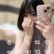 Noel 12月の出勤予定🎀 THE PREMIUM （プレミアム）