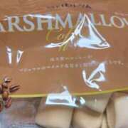 ヒメ日記 2026/03/13 11:52 投稿 つきよ 奥鉄オクテツ大阪