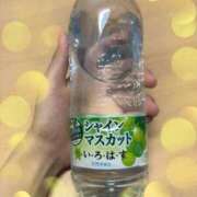 ヒメ日記 2024/09/19 12:22 投稿 つむぎ奥様 デザイア日本橋