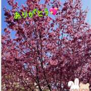 ヒメ日記 2025/03/16 02:25 投稿 マミ 人妻日記