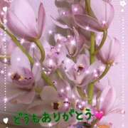 ヒメ日記 2025/04/25 03:35 投稿 マミ 人妻日記