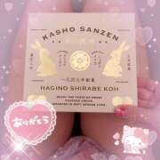 ヒメ日記 2025/09/07 23:30 投稿 マミ 人妻日記