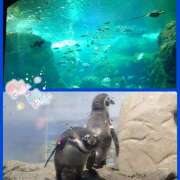 ヒメ日記 2025/09/15 00:55 投稿 マミ 人妻日記