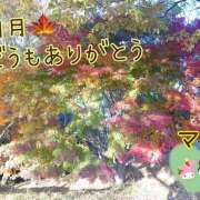 ヒメ日記 2025/12/01 19:15 投稿 マミ 人妻日記