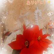 ヒメ日記 2025/12/19 03:10 投稿 マミ 人妻日記