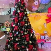 ヒメ日記 2025/12/25 01:15 投稿 マミ 人妻日記