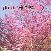 ヒメ日記 2026/03/01 09:00 投稿 マミ 人妻日記