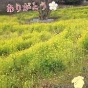 ヒメ日記 2026/03/09 01:35 投稿 マミ 人妻日記