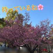 ヒメ日記 2026/03/24 13:15 投稿 マミ 人妻日記