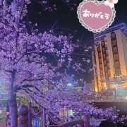 ヒメ日記 2026/04/01 03:00 投稿 マミ 人妻日記