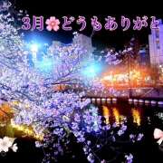 ヒメ日記 2026/04/01 11:45 投稿 マミ 人妻日記